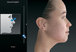 Vector 3d Face Imaging coco ruby